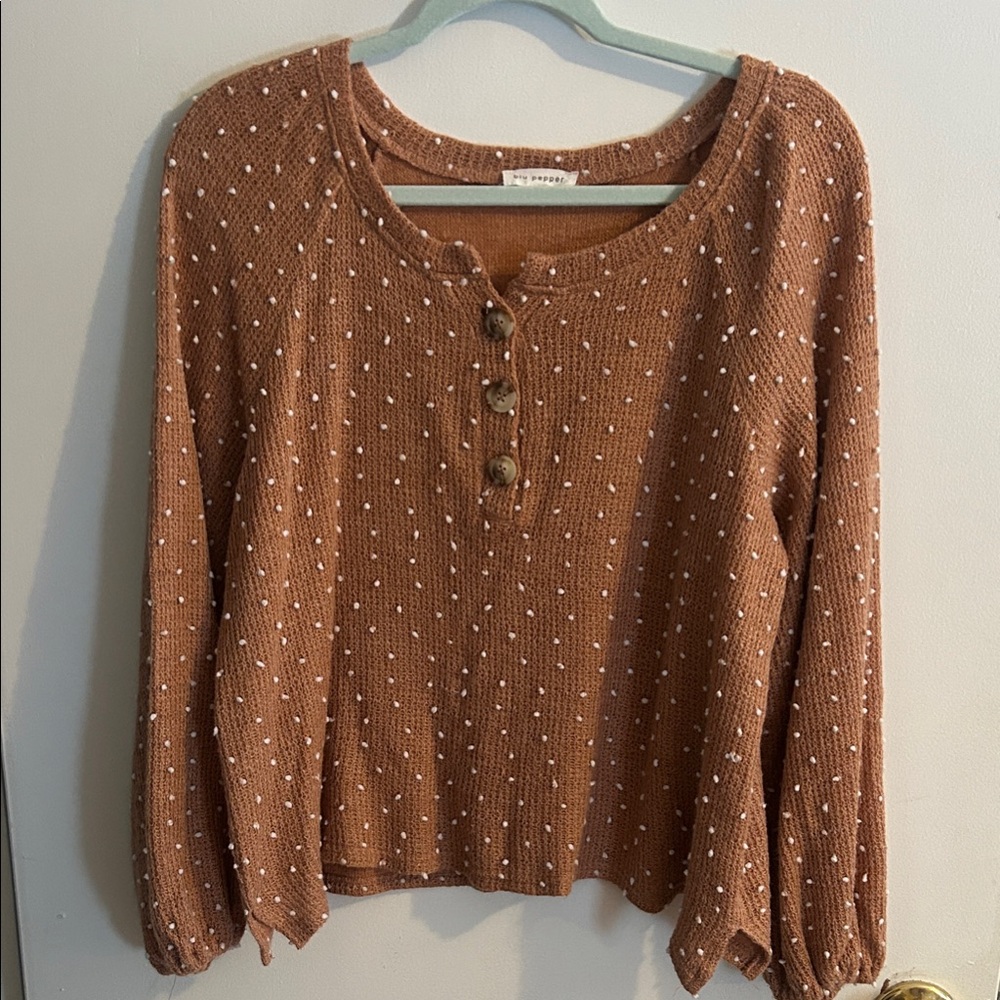 Blu Pepper Brown Button-Up Blouse
